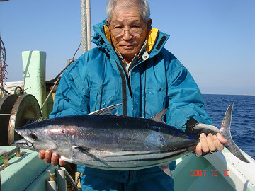 12月18日 カツオ