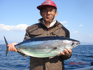 12月18日 カツオ