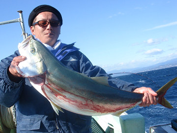 1月25日 ブリ