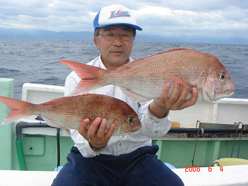 6月4日 マダイ