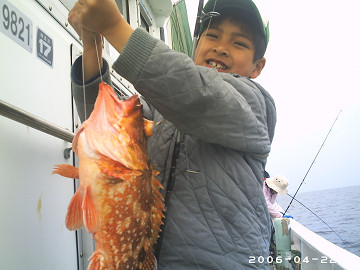 2006年4月22日 オニカサゴ