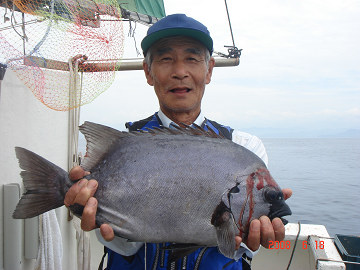 6月18日 石鯛