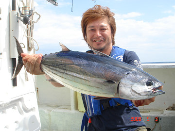 9月3日 カツオ