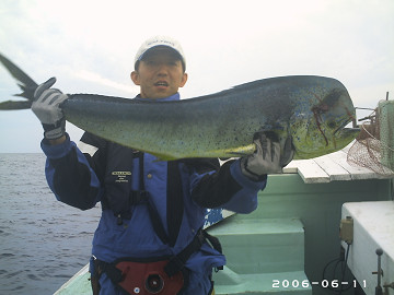 2006年6月11日 シイラ