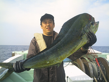2006年7月11日 シイラ