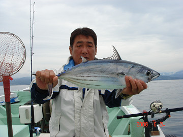 2006年6月26日 カツオ