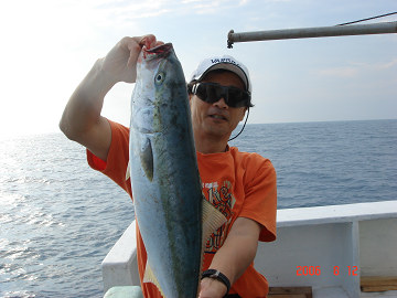 2006年8月12日 ブリ