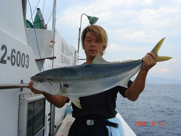 2006年8月12日 ブリ