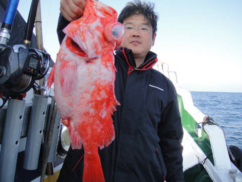 深海釣り〜アコウ