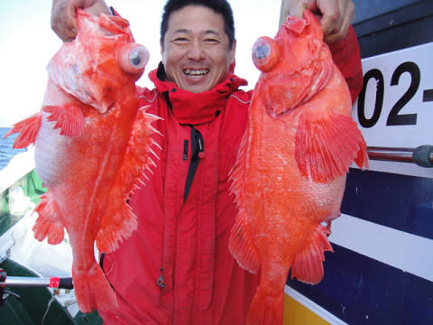 深海釣り〜アコウ