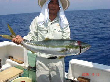 2006年8月13日 ブリ