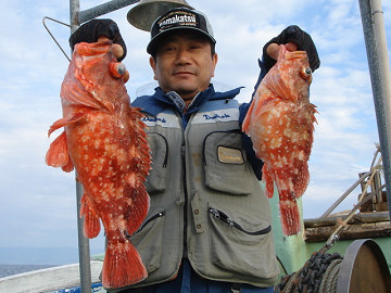 3月3日 ガシラ
