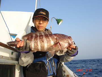 3月29日 ハタ