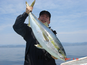 4月30日 ブリ