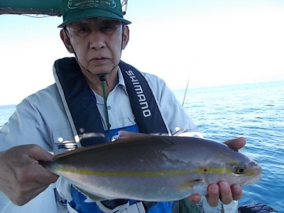 11月釣果です