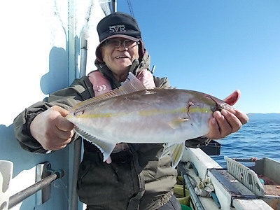 11月釣果です