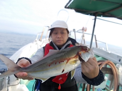 11月釣果です