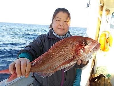 11月釣果です