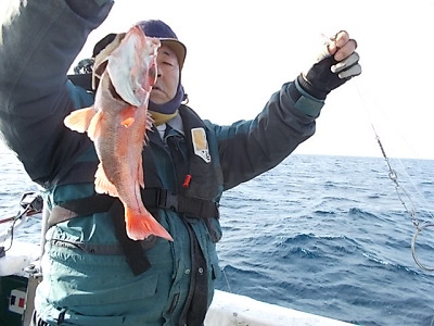 2月釣果です