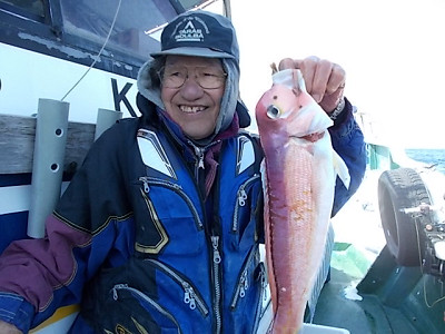 3月釣果です