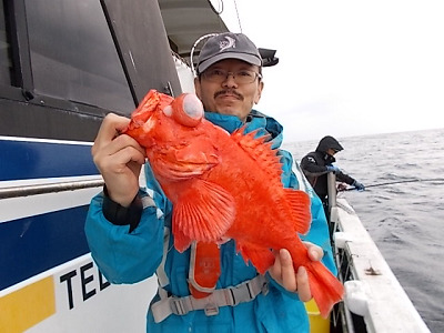 3月釣果です