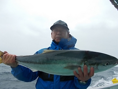 5月釣果です