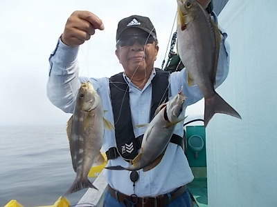 6月釣果です