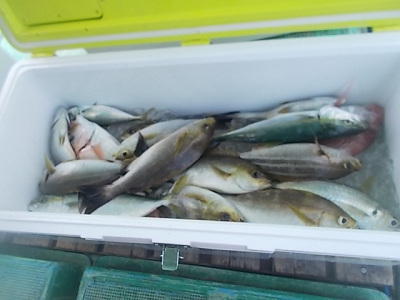 7月釣果です