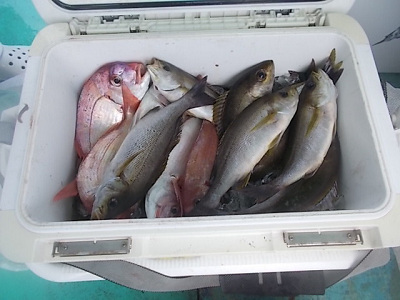 7月釣果です