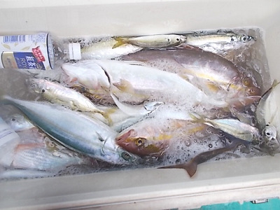 9月釣果です