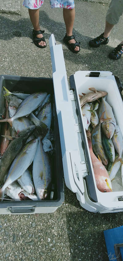 9月釣果です