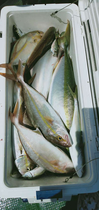 9月釣果です