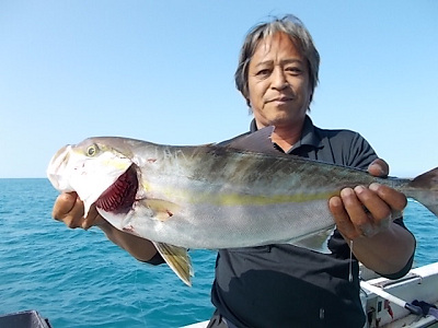 10月釣果です