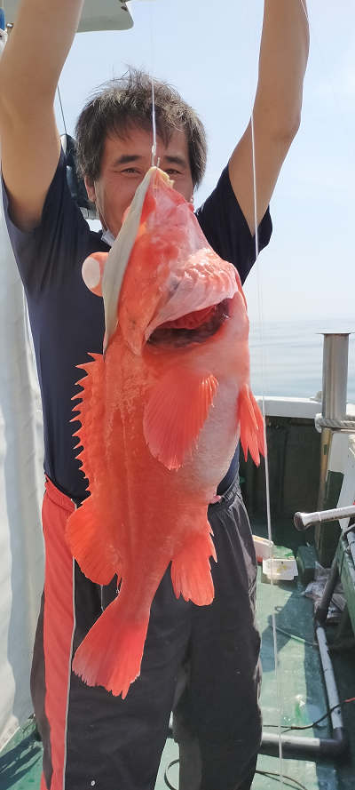 5月釣果です