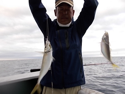 5月釣果です