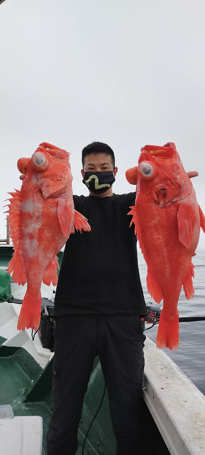 5月釣果です