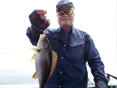 5月釣果です
