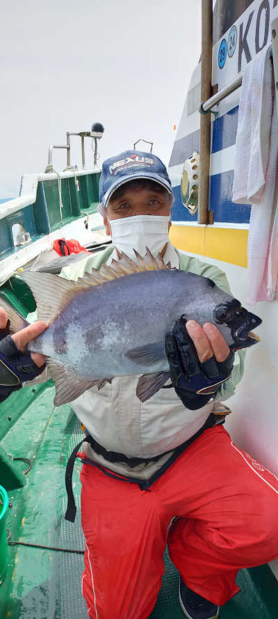 5月釣果です