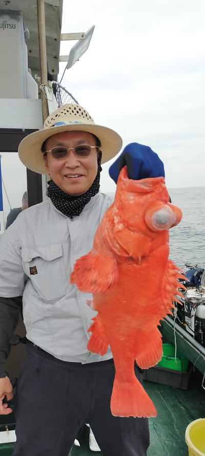 6月釣果です