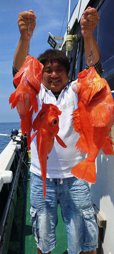 7月釣果です