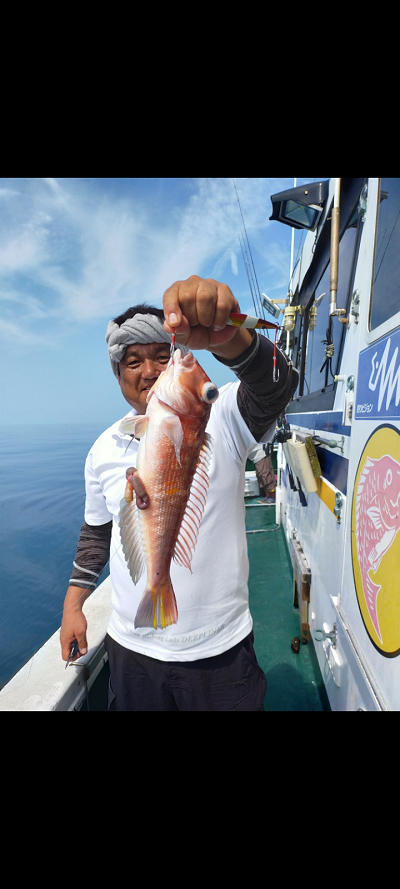 8月釣果です