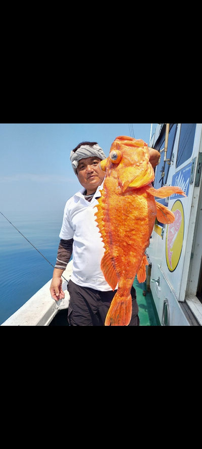 8月釣果です