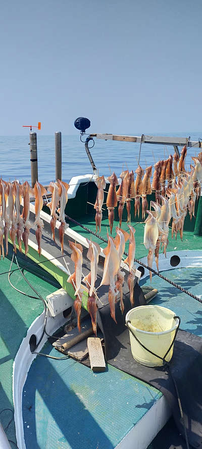 8月釣果です
