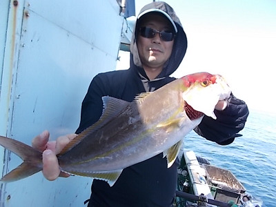 9月釣果です
