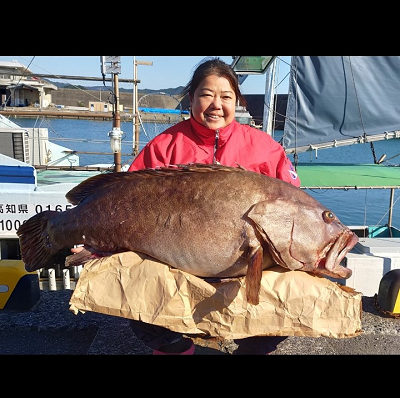 11月釣果です