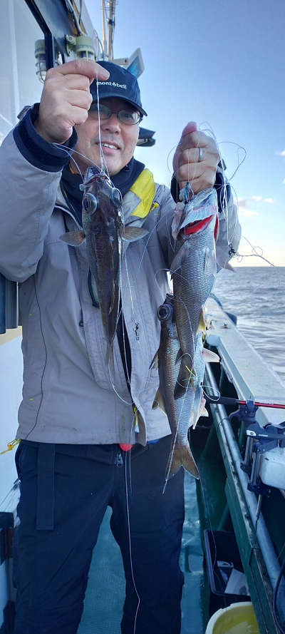 12月釣果です