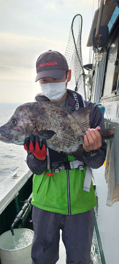 12月釣果です