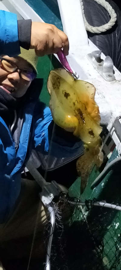 12月釣果です