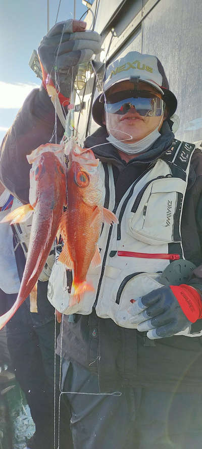 12月釣果です