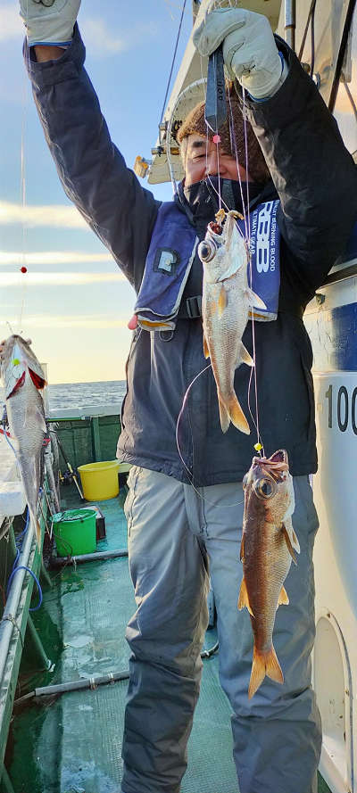 12月釣果です